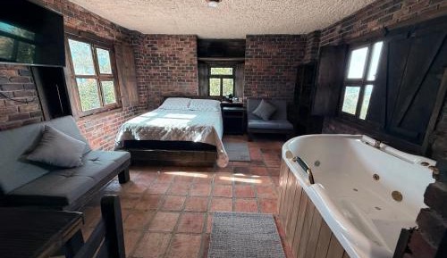 Deluxe Double or Twin Room with Mountain View