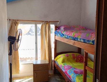 Single Bed in Mixed Dormitory Room