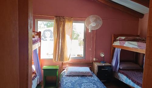 Single Bed in Mixed Dormitory Room