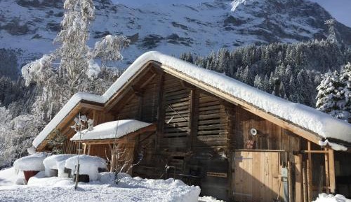 Holiday Home