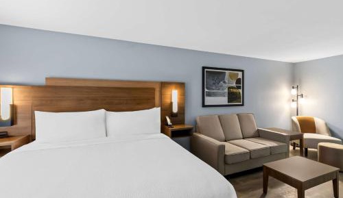 Large Executive King Room with Sofa Bed - Non-Smoking