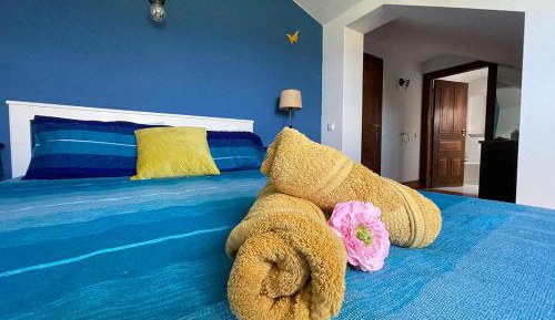 Double Room with Mountain View