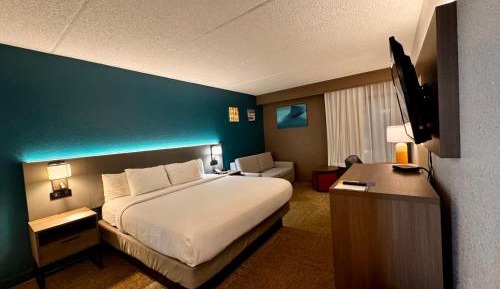 Standard King Room with Sofa Bed - Non Smoking