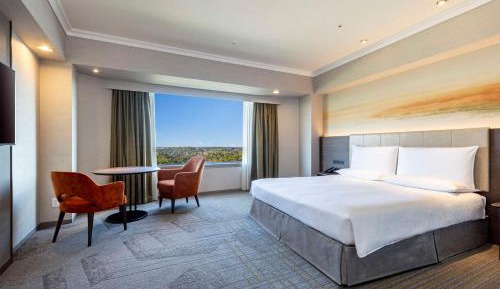 Deluxe Superior Queen Room