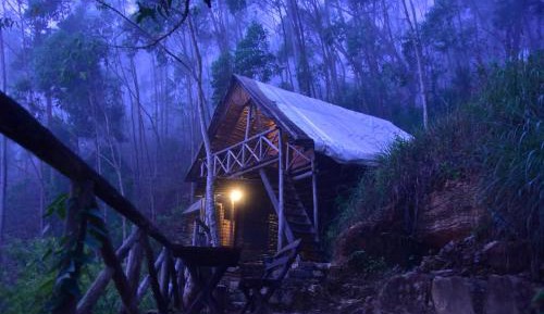 Tent