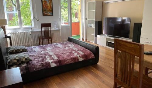 One-Bedroom Apartment with Balcony and City View