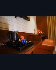 Deluxe Double or Twin Room with City View