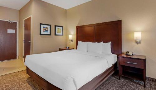 Standard King Room