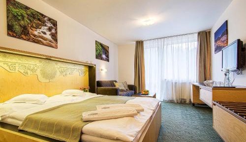 Superior Double Room with Mountain View
