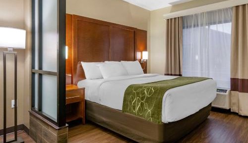 King Suite - Non-Smoking/Pet Friendly