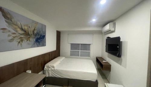 Superior Single Room