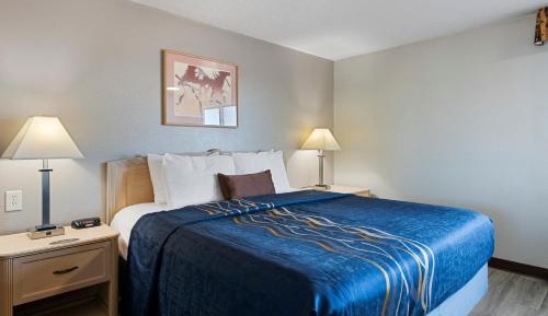 Budget Single Room
