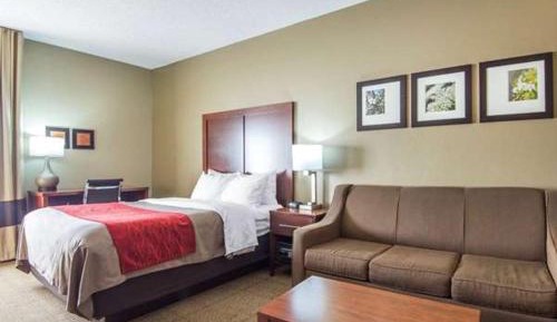 King Suite