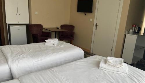 Deluxe Double or Twin Room with City View