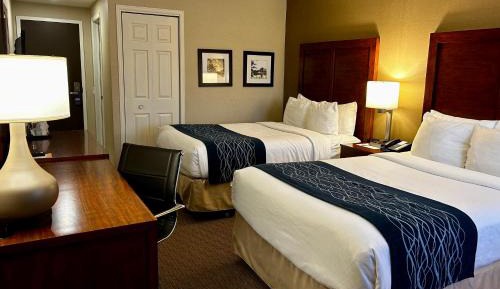 Standard Two Double Room