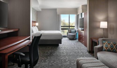 Junior Suite, 1 King, Sofa bed 