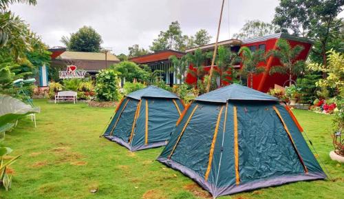 Tent