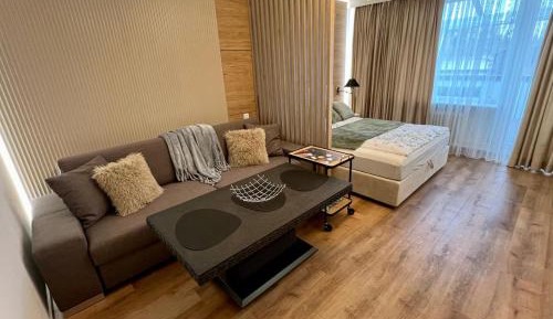 One-Bedroom Apartment with Terrace