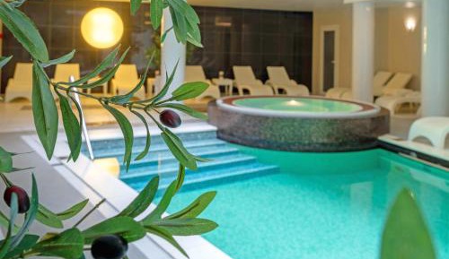 Standard Room with Daily Spa Access