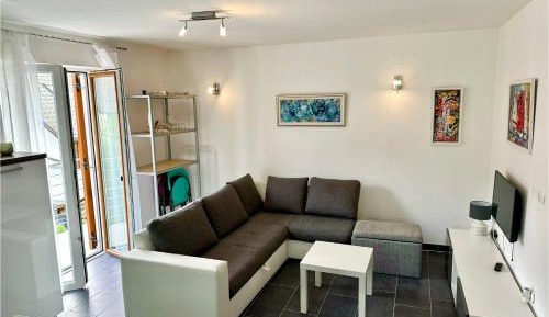 Deluxe One-Bedroom Apartment