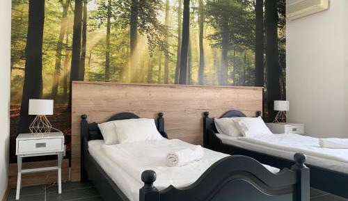 Standard Twin Room with Garden View