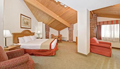 Superior Suite with One King Bed and Jetted Tub - Non-Smoking