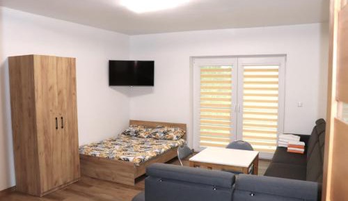 Apartment with Shower