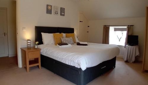 King/Twin Room