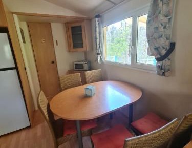 Mobile Home
