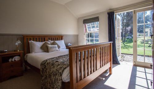 Standard King Room