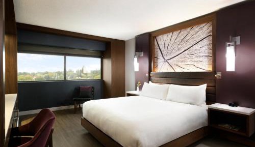 King or Double Room