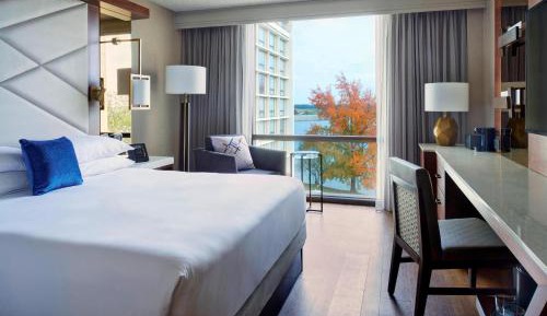 King or Double Room