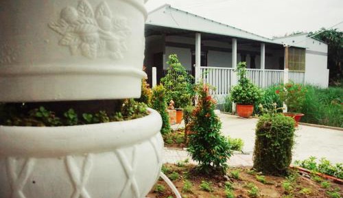 King Room with Garden View