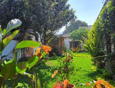 Queen Room with Garden View