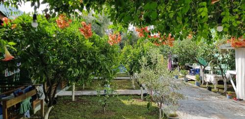 Double Room with Park View