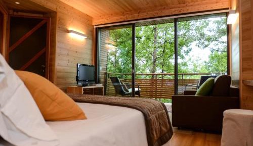 Junior Suite - Tree House