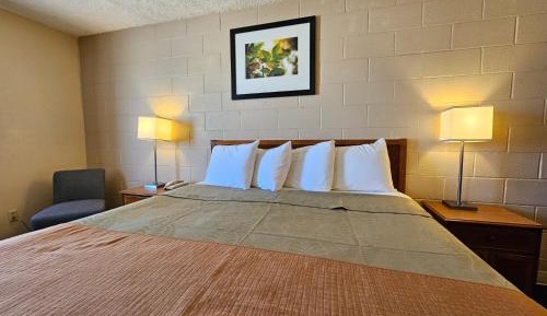 Standard King Room