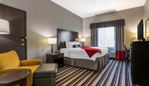 King Room with Roll-in Shower - Disability Access/Non-Smoking