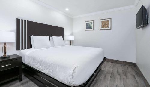 King Room - Exterior Room/Pet Friendly - Non-Smoking
