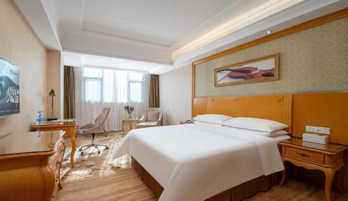 Large Single Room