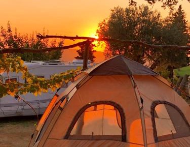 Tent