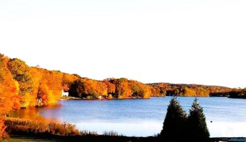 King Room with Lake View