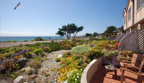 King Room with Patio and Ocean View