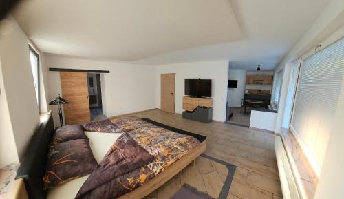 Studio Apartment with King Bed
