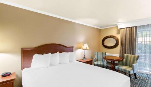 Deluxe King Room - Non Smoking