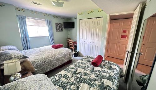 Basic Triple Room
