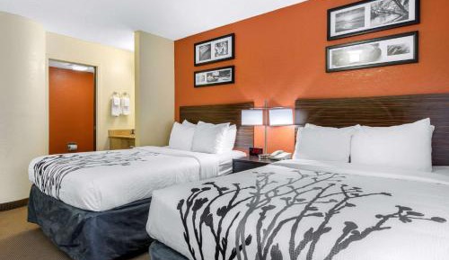 Standard Double Room with Two Double Beds - Non-Smoking