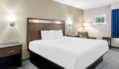 King Room with Walk-In Shower - Mobility Accessible/Non-Smoking