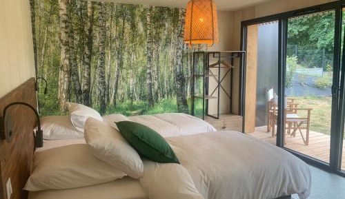Double or Twin Room with Terrace