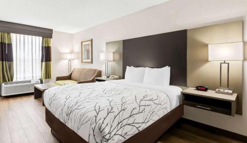 Queen Room with Bath Tub - Disability Access/Non-Smoking 
